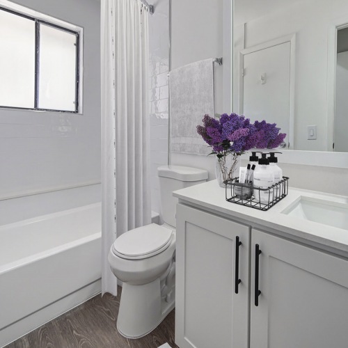 Bathroom shower/tub combo in well lit bathroom